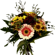 /fileuploads/Produtos/Bouquets e Ramos/thumb_florista_jusart_flores_plantas_rosas_jardim_BOUQUETS E RAMOS 23 (30).png